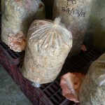 Samsung Febr2014 1426