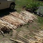 Samsung Febr2014 1614