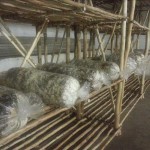 vcm_s_kf_repr_832x624